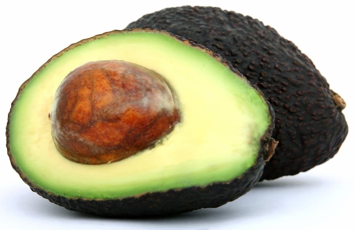 avocado pelle